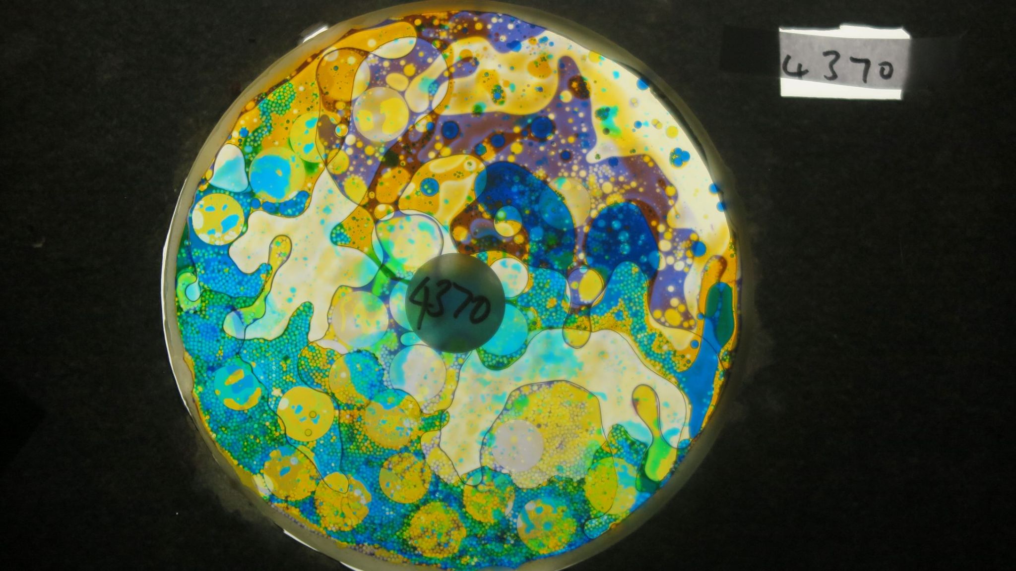 BV4370 bubble vision oil wheel